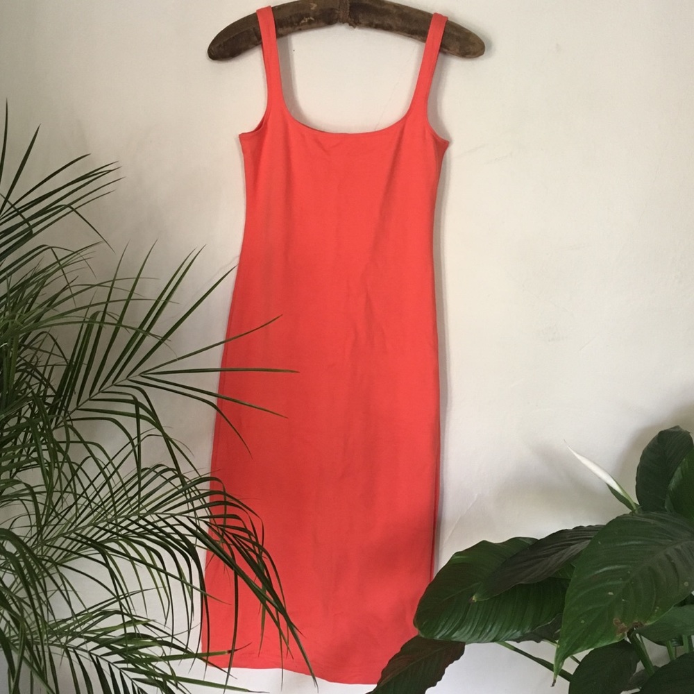 American Apparel BodyCon Midi